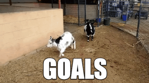 goal goat jump